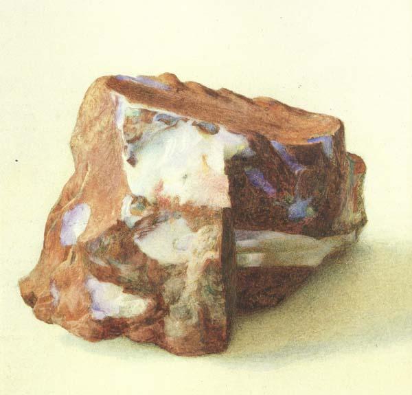 Alexander macdonald A Study of Opal in Ferrugineous jasper from New Guinea (mk46) oil painting image